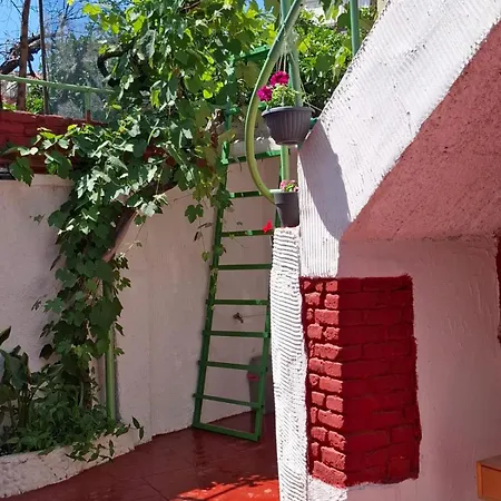 Guest house New Bazaar Tirana