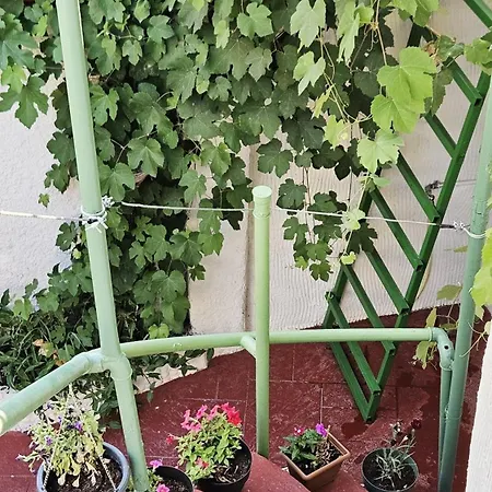 New Bazaar 3* Τίρανα