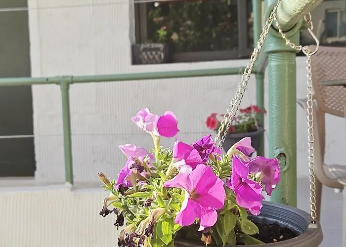 Gasthuis New Bazaar Tirana