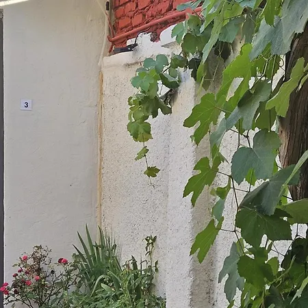 New Bazaar Gasthuis 3*