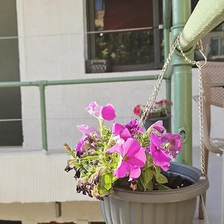 Gasthuis New Bazaar Tirana